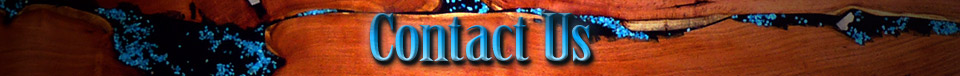 Contact Us